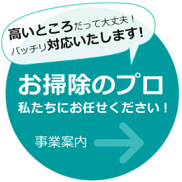 お掃除のプロ私たちにお任せください!